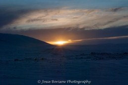 1st Arctic Sunrise of the Year Feb 2011, Photo by JosieB